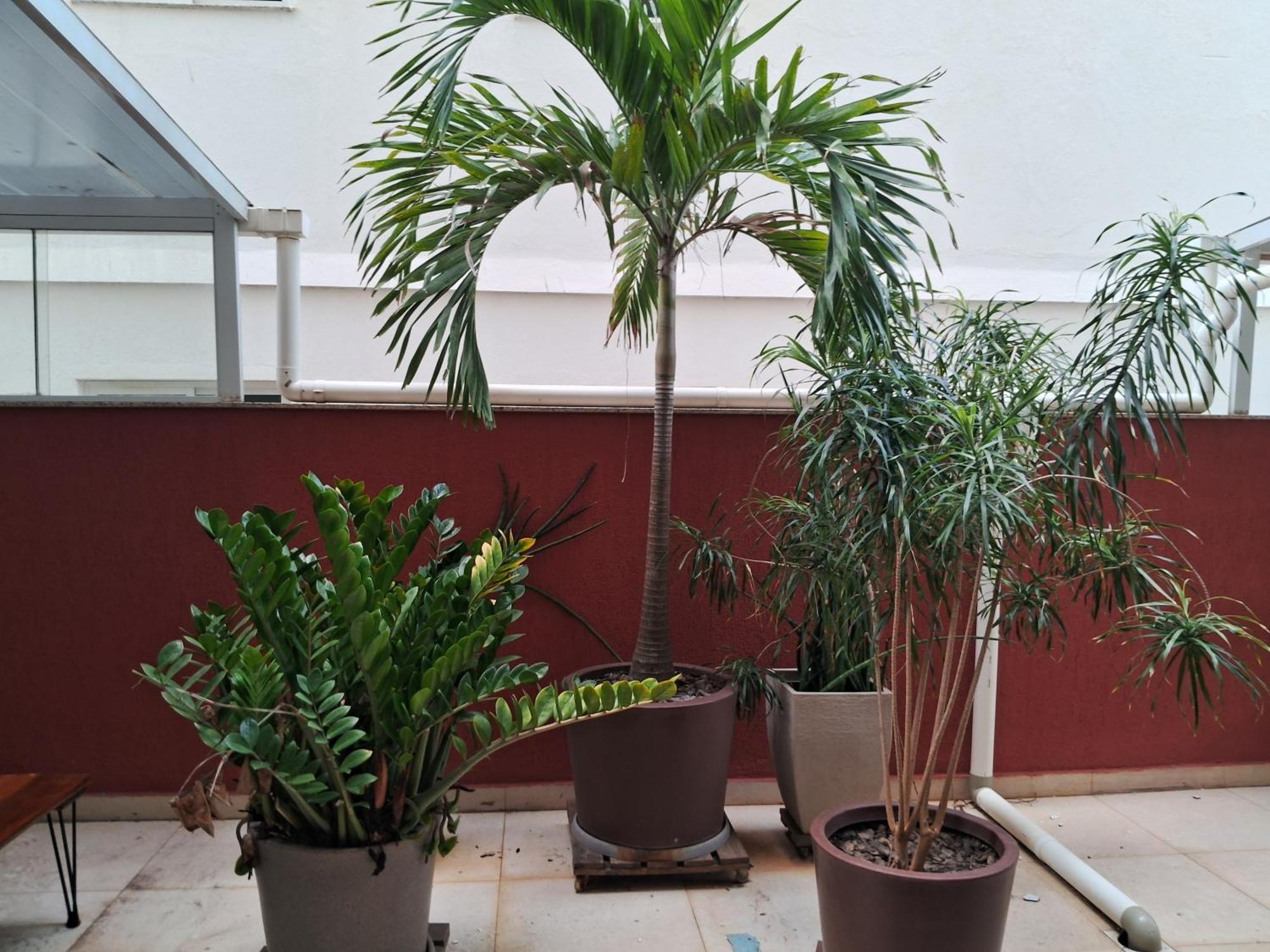 Apartment Show De Na Do Morro - Guarapari