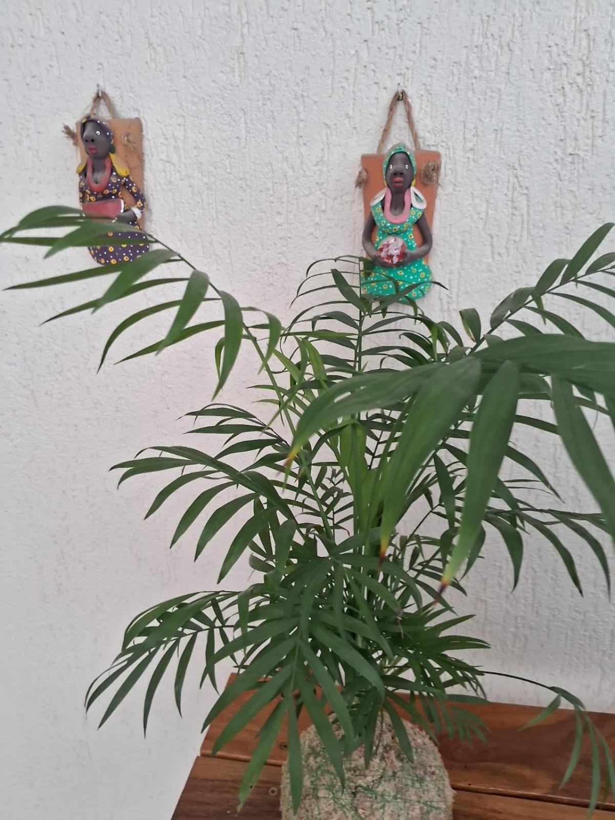 Apartment Show De Na Do Morro - *